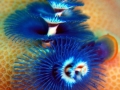 p1270058