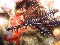 p4030153