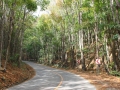 bohol-2010-513