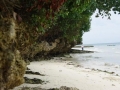 walking-along-the-shore-2