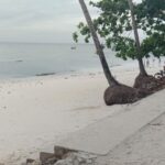 Lost horizon beach dive resort panglao bohol philippines 029
